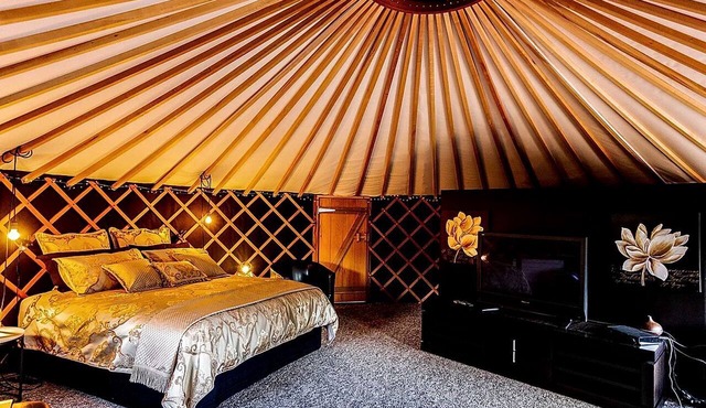 Enchanting Bay of Plenty Accommodation Ideal for Glamping, North Island