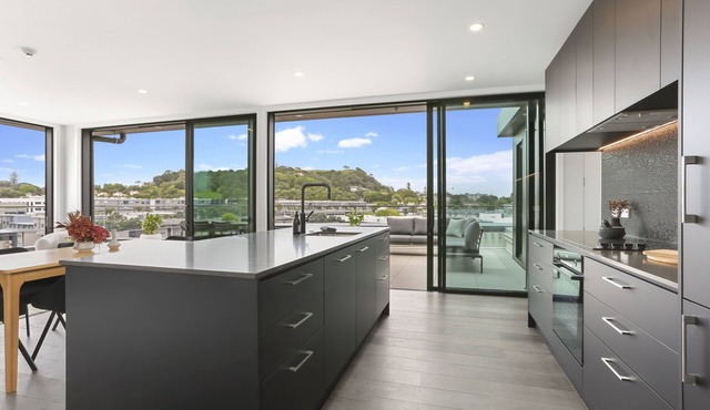 Enfield Sky- Brand New Penthouse