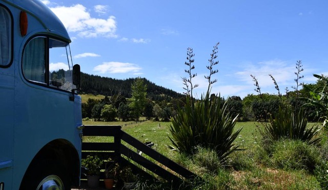 Evi the school bus at Oromahoe Downs Farm in Puketona