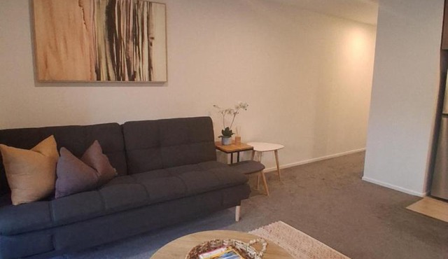 Hagley Executive Stays in Christchurch