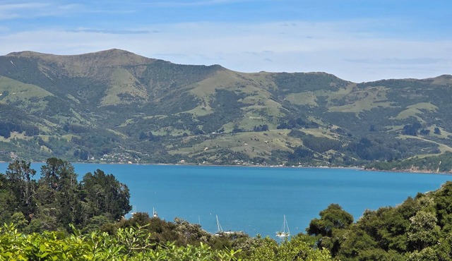 Harbour-view haven - with a large garden. in Akaroa