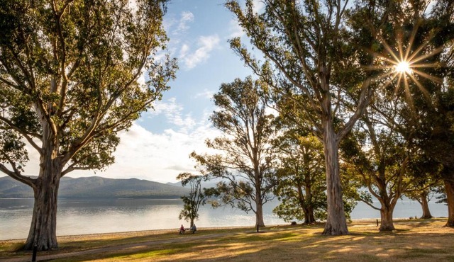 Hop, Skip and Jump to the Lake - Te Anau House in Te Anau