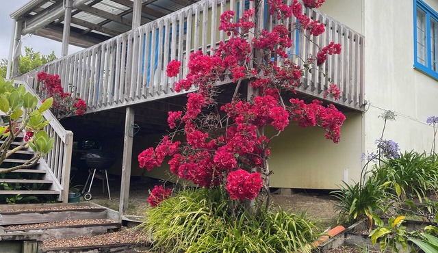Iconic comfortable idyllic bach/cottage, in secluded Enclosure Bay , in Waiheke Island