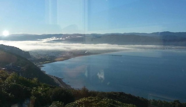 Million Dollar View in Wellington