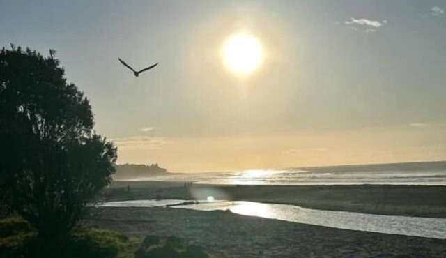 Oakura Beachfront Bach + Epic Views + Close to Everything!