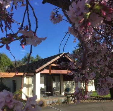 Olive Hill Guest Lodge