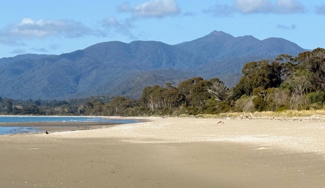 Pā Tōrea Beach Stay | Yurt in Collingwood
