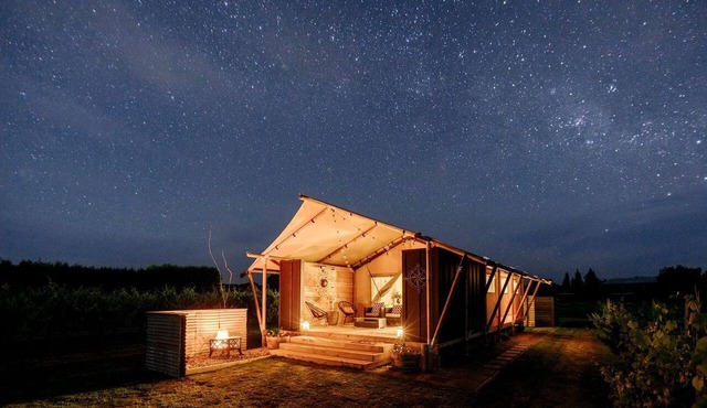 Peaceful Safari Tent on Boutique Vineyard near Hastings, North Island in Hastings