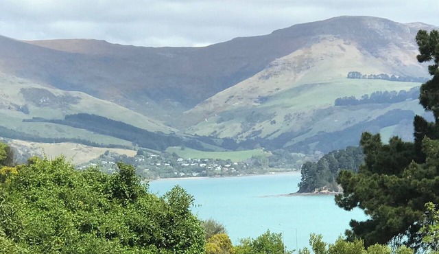Relax, unwind & enjoy the views & birdsong in a spacious standalone cottage. in Lyttelton