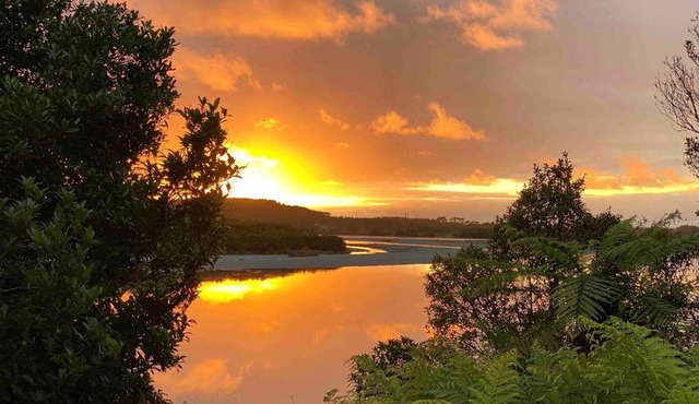 River & Trail Camping Pod in Hokitika