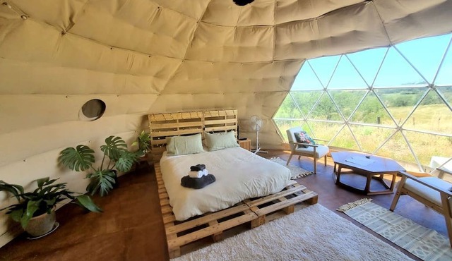Rustic Glamping Dome in a Rural Setting near Waipu, North Island in Waipu