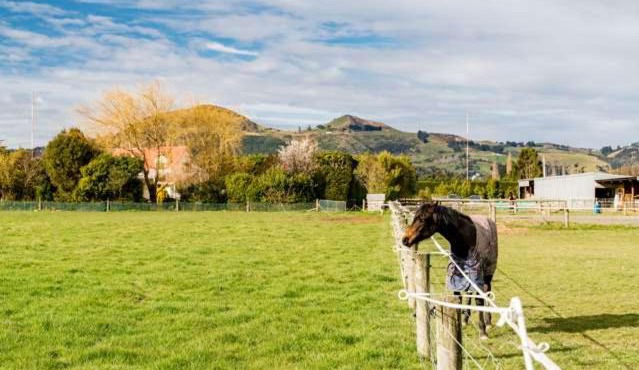 Saddleview Cottage-Horse and Trailer friendly in Dunedin