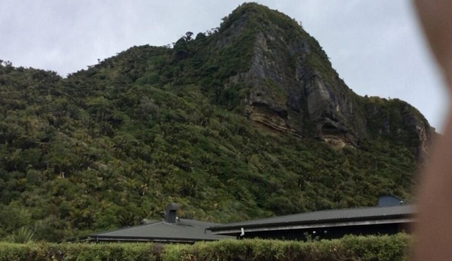 Stunning Paradise central on large section in Punakaiki