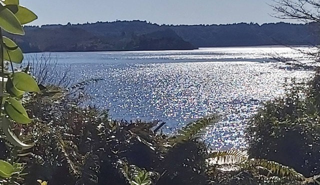 STUNNING VIEWS, PRIVATE SETTING. Paradise found, all the comforts of home. in Rotoma