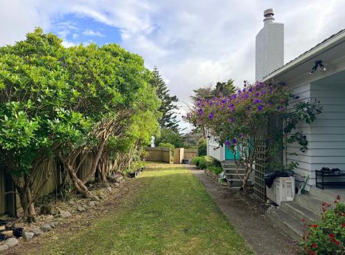 Sunny Spacious Room, Free Parking, Close to Ferry in Wellington