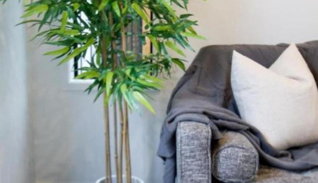 Sunsoaked seaside 1 bedroom 1 bath in Christchurch