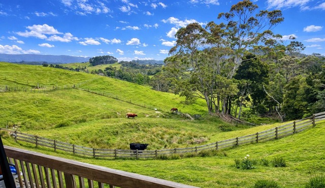 Swallows Nest Cottage -self contained with amazing views and outdoor bath. in Waiatarua