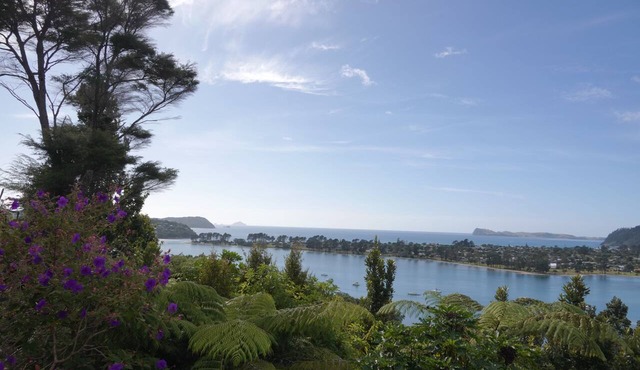 Tairua Tree House - a traditional bach overlooking the Tairua Harbour