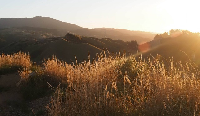 The Hide Kapiti Accommodation