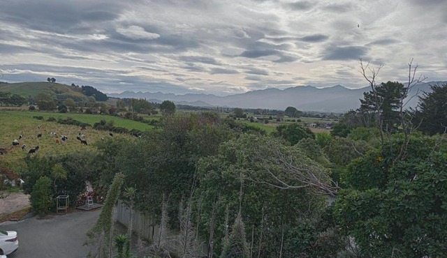 The Lazy Shag Lodge in Kaikoura
