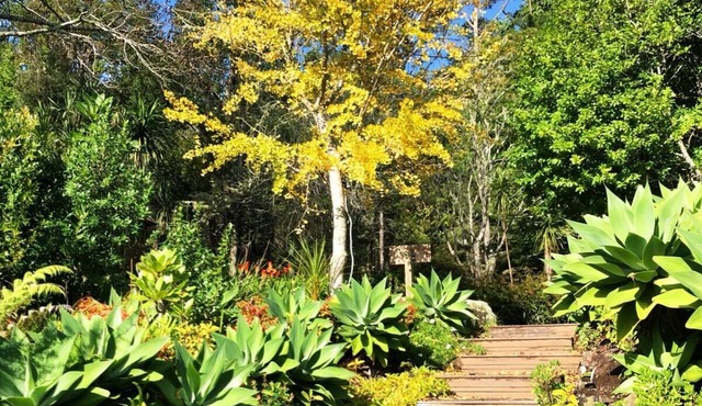 The Lodge at Takou River - Secluded Riverside Retreat in the Bay of Islands