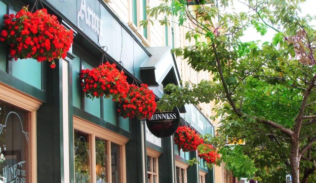 The Rutland Arms Inn in Whanganui