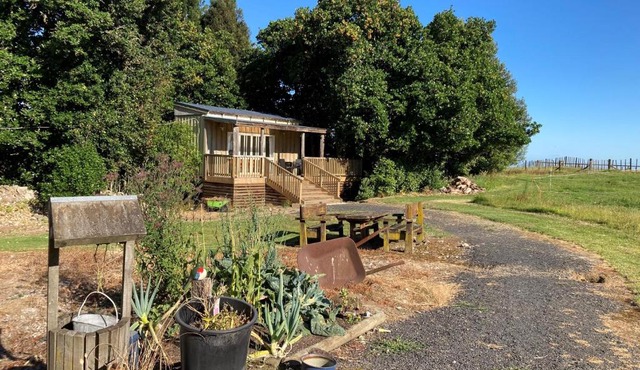The Treehut