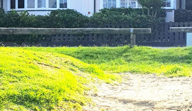 Tiromoana Beachfront Cottage. Worser Bay the heart of Wellington"s film Industry in Seatoun