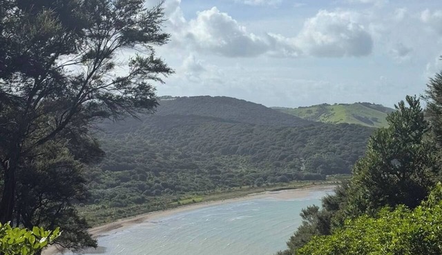 Treehouse on Waiheke in Waiheke Island