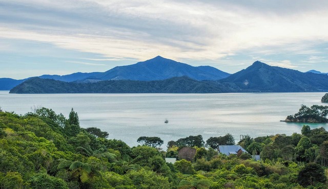Treetops & Tide Cottage - Moetapu Holiday Home in Picton