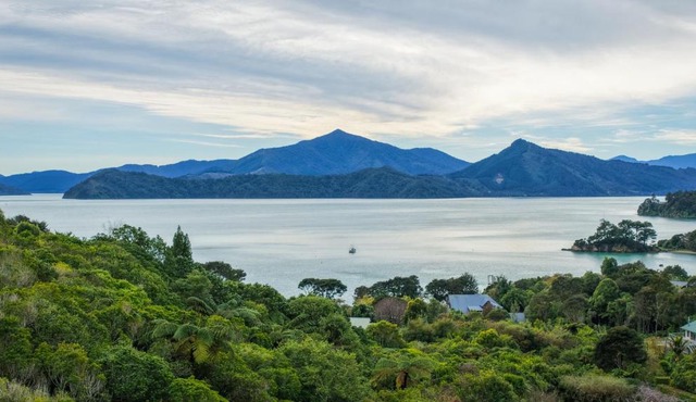 Treetops & Tide Cottage - Moetapu Holiday Home in Moetapu Bay
