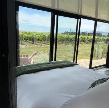 Ultimate Vineyard Escape - Waipara in Waipara
