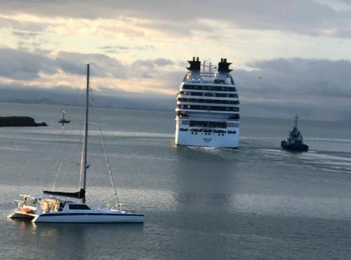 Waterfront Bliss in Nelson
