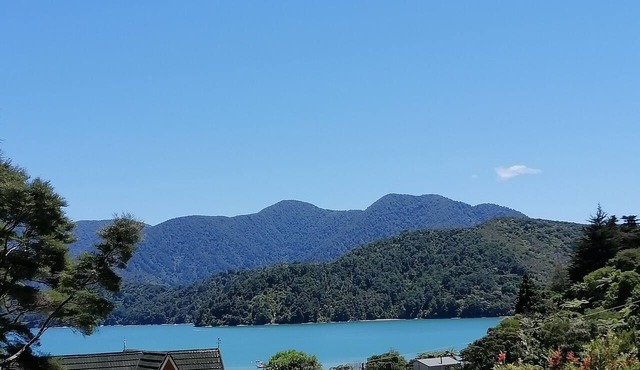Willow Bay, Mahua Sound. Easy road & Beach access, tidal Beach launching/mooring in Mahau Sound