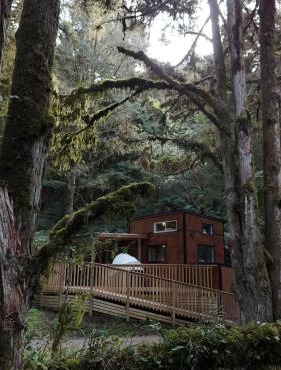 Wonderforest 2 Bedroom Tiny house Ruapehu Unique Stays in Taumarunui