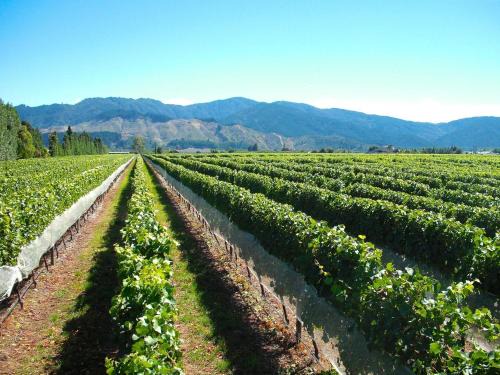 Marlborough Magic Rapaura Holiday 