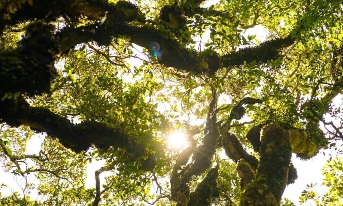 Stratford Apartment | Unwind @ Taranaki Relaxing Eco Suite