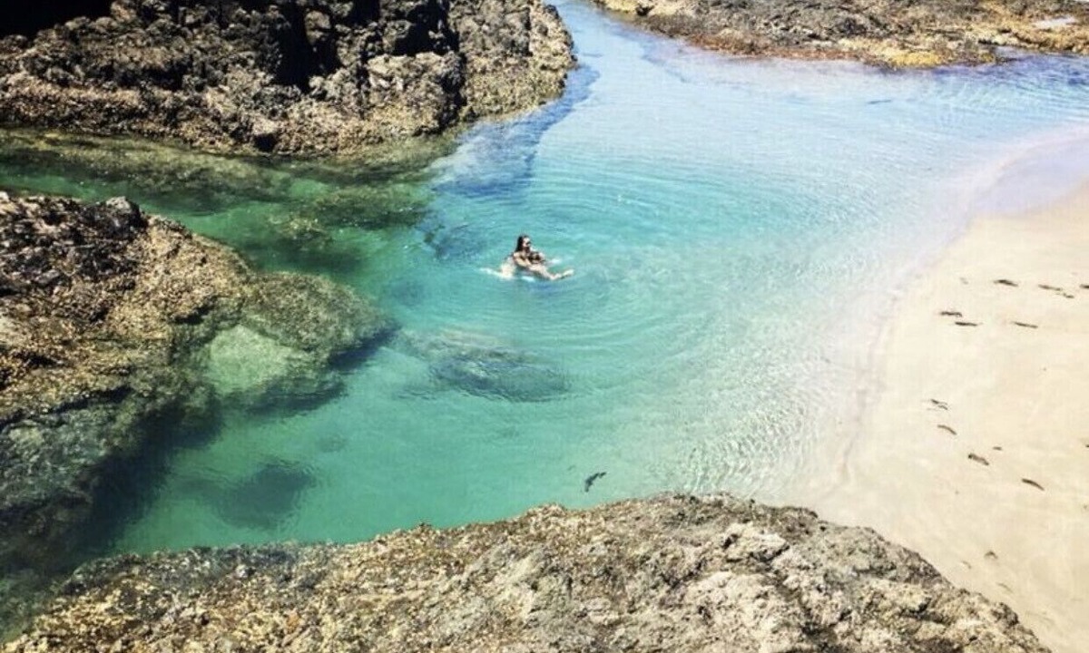 Parekura Bay House | The Beach House - Russell - You can not get any closer to the water!