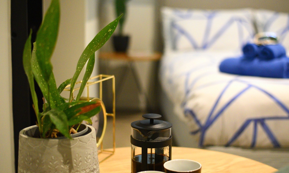 Te Aro Hostel | The Marion Hostel