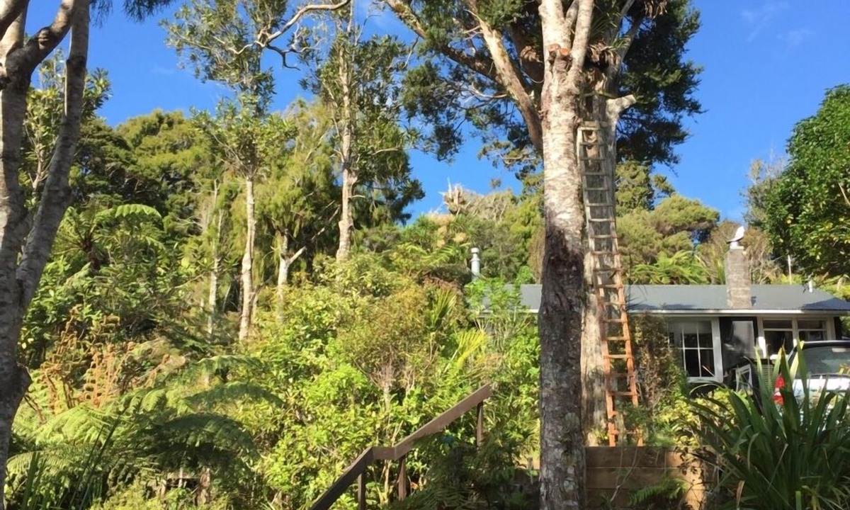 Piha House | Stunningly Private Piha Retreat