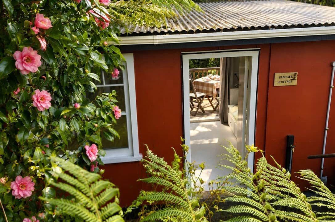 Raglan House | Fantail Cottage | Private Bush Retreat