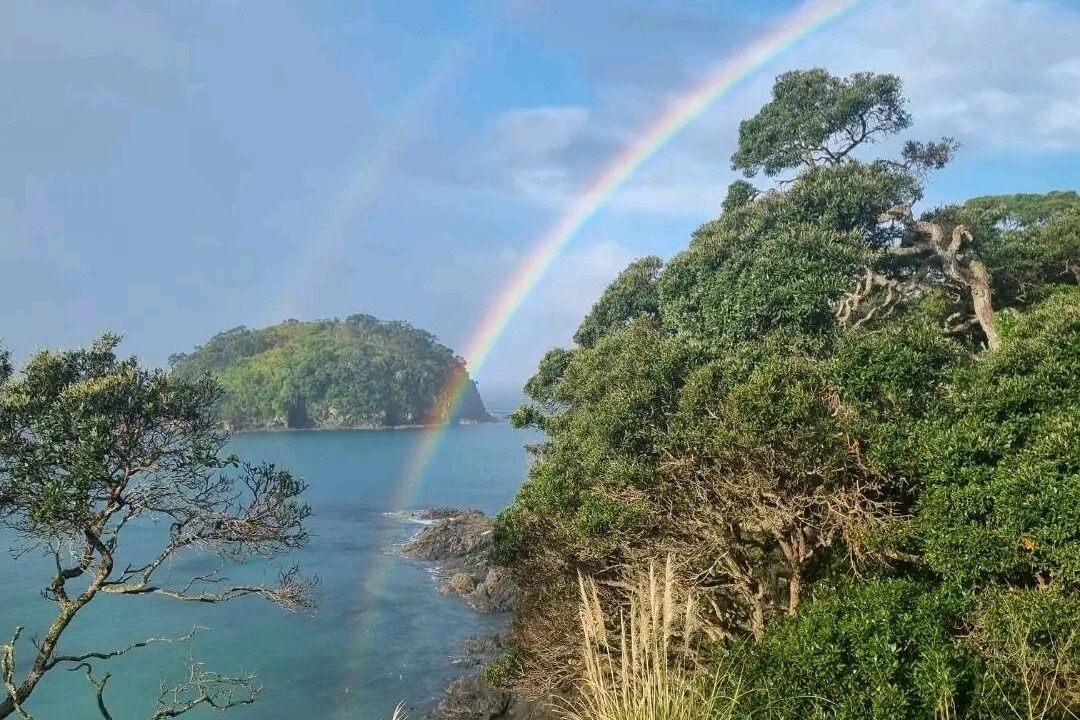 Whananaki North House | Coastal Bach with beautiful views and nearby beaches!