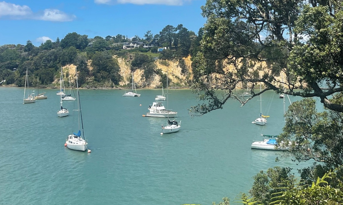 Auckland House | The Hidden Paradise