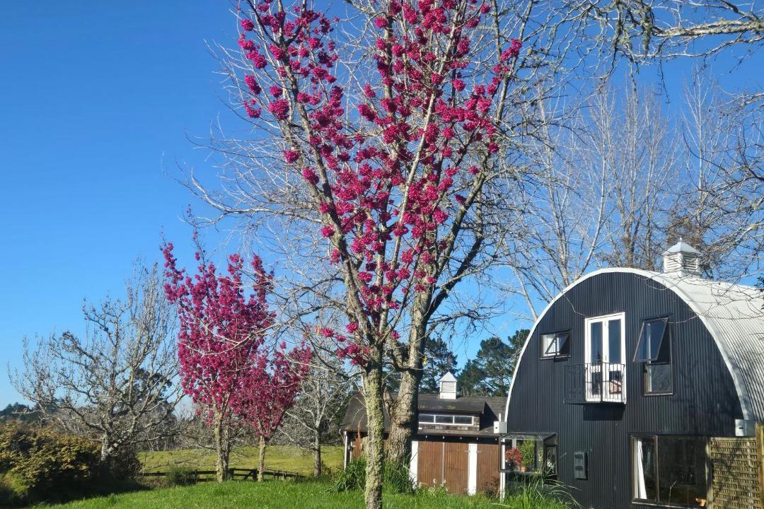Kumeu House | Amore Manor Auckland