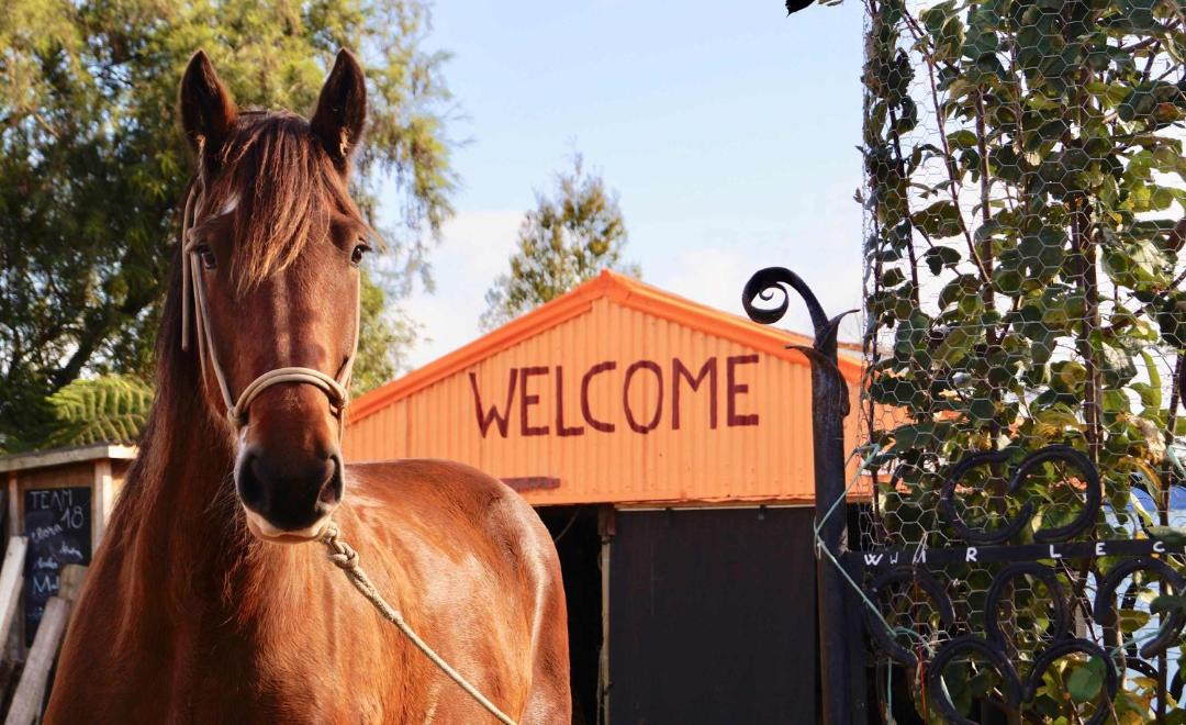 Patons Rock Villa | Hack'n'Stay Adventure Farm - Paton's Rock