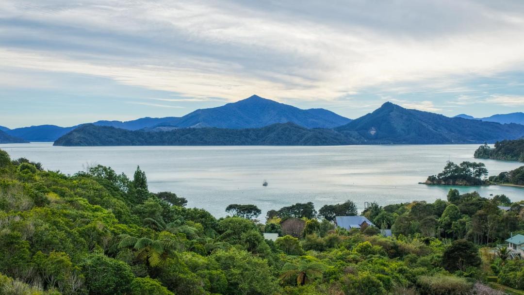 Moetapu Bay House | Treetops & Tide Cottage - Moetapu Holiday Home