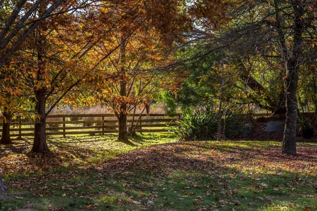 Solway Villa | Longbush Estate, Gladstone