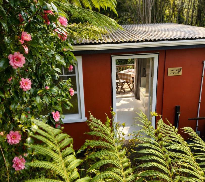 Raglan House | Fantail Valley