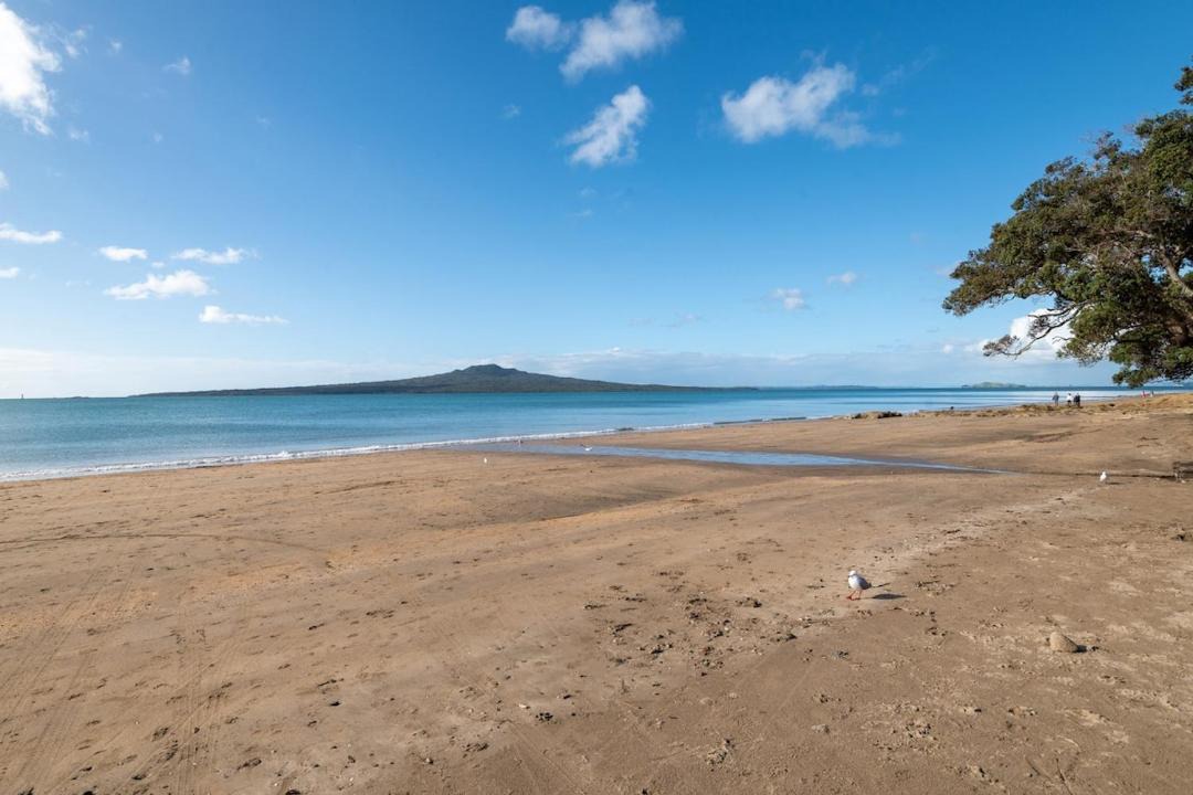 Narrow Neck House | Devonport Palms Studio