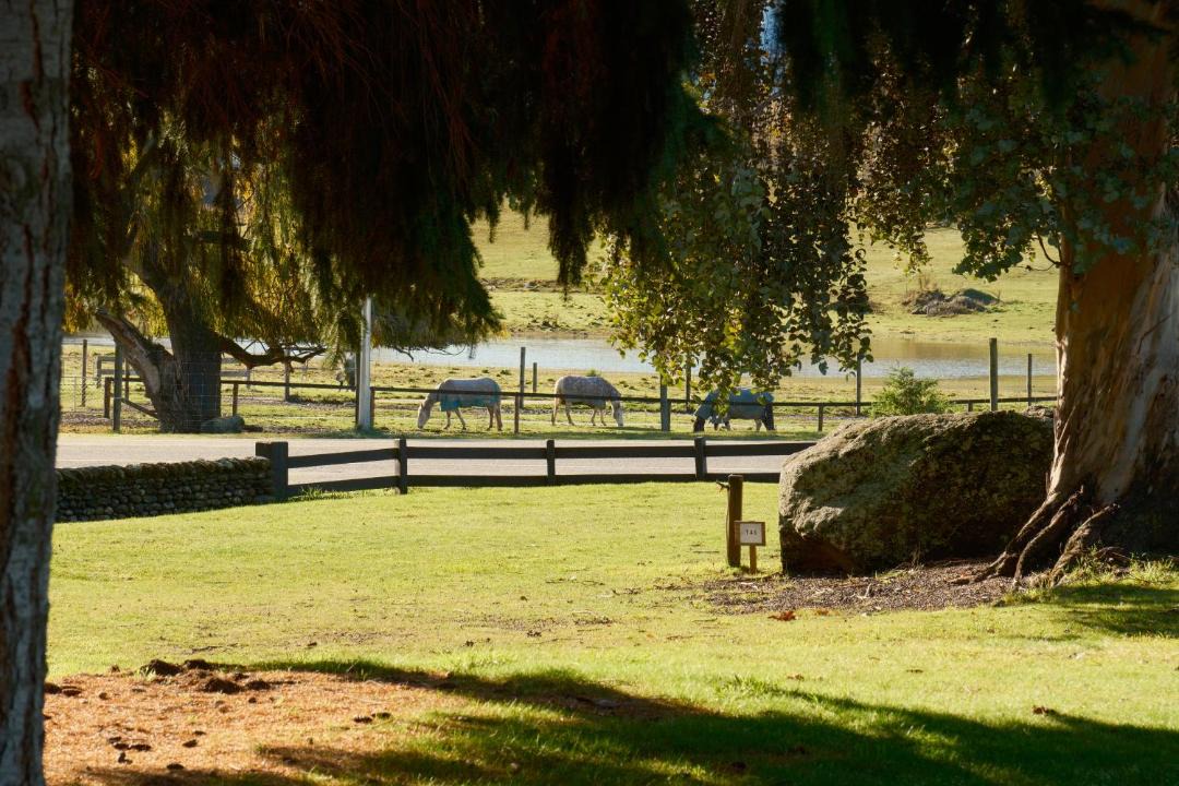 Wanaka Cabin | Nordic Villages at Sundale Holiday Park